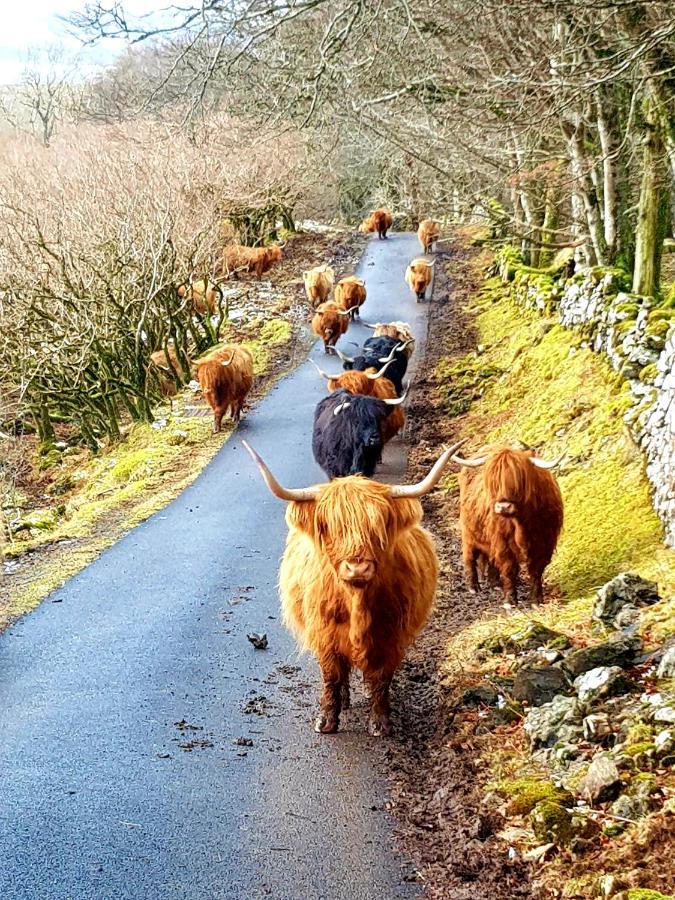 Kirk Cottage Tobermory Εξωτερικό φωτογραφία